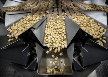 Innovación en el mercado de frutos secos